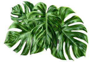 AI generated Lush Green Tropical Leaves with Water Drops png