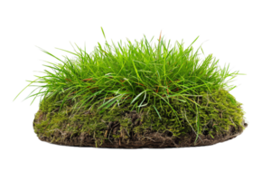 AI generated Fresh Grass Cross-Section with Soil png