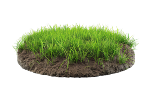 ai genererad färsk gräs tvärsnitt med jord png