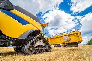 Process of gathering ripe crop from the fields. Side view on yellow combine. Harvest time. photo