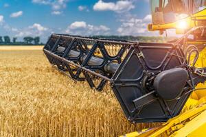 Heavy technics in wheat field. Yellow combine harvesting dry wheat. Farmer observing process. Selective focus. photo