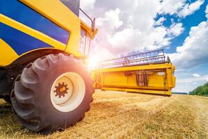 Selective focus on part of harvest gathering machine. Harvest time. Special technic in field. photo