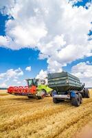 Two working gathering harvest machines. Harvest gathering in gold field. Dry wheat. photo