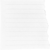 blanc déchiré papier pièce png