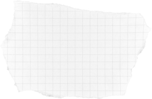 blanc déchiré papier pièce png