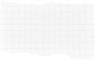 blanc déchiré papier pièce png