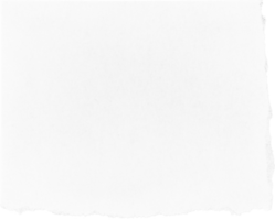 White Torn Paper Piece png