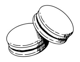 macarrón galletas bosquejo. soltero postre, dulce comida garabatear. mano dibujado vector ilustración en retro estilo. contorno clipart aislado en blanco antecedentes.