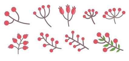 A large set of different red berries on a branch. Flat vector illustration, editable