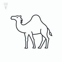 Camel line icon. Isolated simple vector illustration