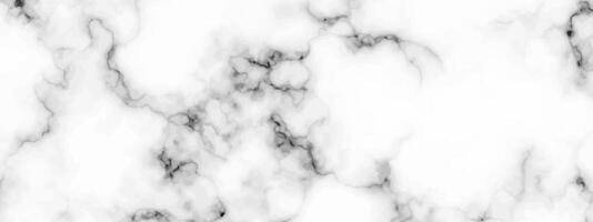 White marble texture background vector