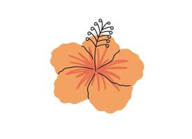 Hand drawn cute summer cartoon illustration of hibiscus flower. Flat vector tropical floral sticker in simple colored doodle style. Exotic botany icon or print. Isolated on white background.