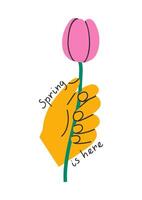 Hand drawn cute cartoon illustration of hand with tulip. Flat vector arm holds the spring flower greeting card in colored doodle style. Spring is here lettering. Easter postcard template Isolated.