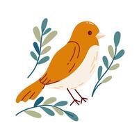 Bird and flowers with different ornaments. Bird in simple cartoon style. Flat vector illustration