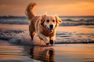 AI generated Poster with a dog playing  on a  beach in front of the sea photo