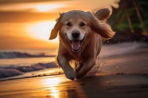 AI generated Poster with a dog playing  on a  beach in front of the sea photo