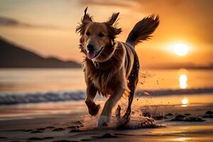 AI generated Poster with a dog playing  on a  beach in front of the sea photo