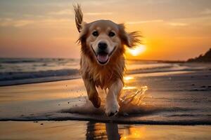 AI generated Poster with a dog playing  on a  beach in front of the sea photo