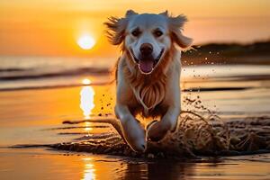 AI generated Poster with a dog playing  on a  beach in front of the sea photo