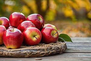 AI generated Harvested red apples in a basket photo