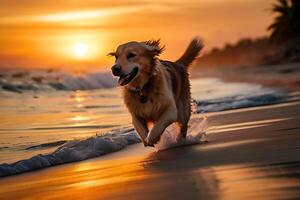 AI generated Poster with a dog playing  on a  beach in front of the sea photo