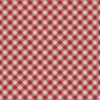 Plaid pattern vector. Check fabric texture. Seamless textile design for clothes, paper print. vector
