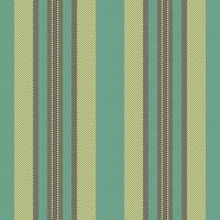 Lines stripe texture of background textile pattern with a seamless fabric vertical vector. vector