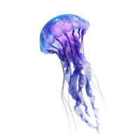 AI generated jellyfish on transparent background png