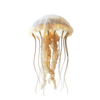 AI generated jellyfish on transparent background png