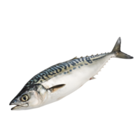 AI generated Mackerel on transparent background png