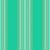 Vertical lines stripe pattern. Vector stripes background fabric texture. Geometric striped line seamless abstract design.