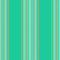 Vertical lines stripe pattern. Vector stripes background fabric texture. Geometric striped line seamless abstract design.