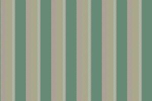 Textile fabric pattern of seamless background stripe with a lines texture vector vertical.