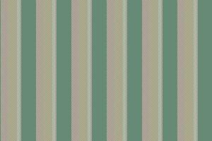 Textile fabric pattern of seamless background stripe with a lines texture vector vertical.