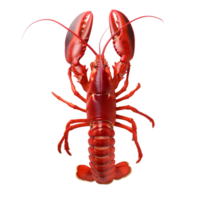 ai généré Homard sur transparent Contexte png