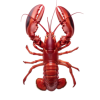 AI generated Lobster on transparent background png