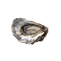 ai gegenereerd oester Aan transparant achtergrond png