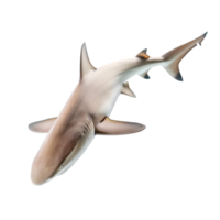 AI generated shark on transparent background png