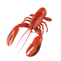 AI generated Lobster on transparent background png