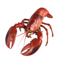 ai généré Homard sur transparent Contexte png