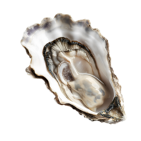 ai gegenereerd oester Aan transparant achtergrond png