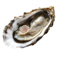 ai gegenereerd oester Aan transparant achtergrond png