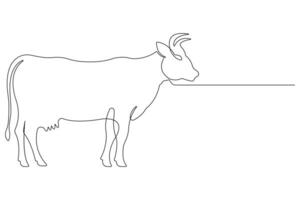 Continuous one line art drawing of cow pet animal concept outline vector illustration