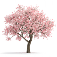 AI generated cherry blossom tree on transparent background png