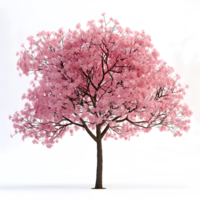 AI generated cherry blossom tree on transparent background png