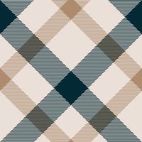 Plaid pattern vector. Check fabric texture. Seamless textile design for clothes, paper print. vector