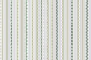 Stripe background seamless of vector vertical texture with a textile pattern fabric lines.