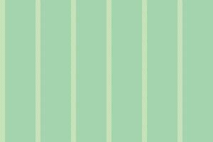 Choose vertical fabric lines, creativity texture seamless textile. Room background pattern vector stripe in light color.