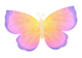 Watercolor Butterfly illustration isolated on transparent background. Iridescent wings, gradient of purple, pink and yellow. Design for decoration of postcards, wedding invitations, greeting cards png