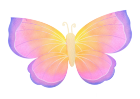 aquarelle papillon illustration isolé sur transparent Contexte. iridescent ailes, pente de violet, rose et Jaune. conception pour décoration de cartes postales, mariage faire-part, salutation cartes png